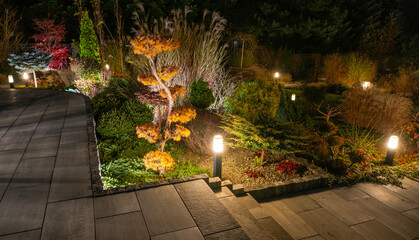 Beautifully Lit Garden Pathway at Night Showcasing Colorful Trees and Lush Foliage