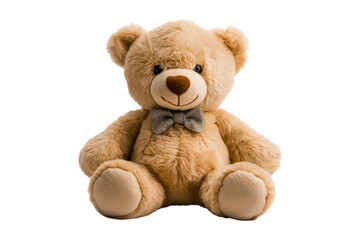 Obraz premium teddy bear isolated on white