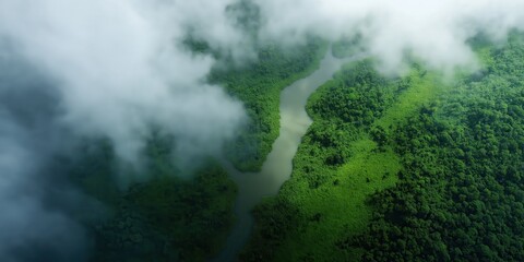 An extreme close-up view from space, looking down at the dense, green rainforest of Indonesia's Kalimantan region