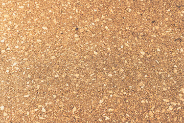 Natural walnut wood texture background