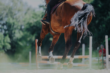 A majestic brown horse in full motion, captured mid-jump with a rider in an outdoor arena. The...