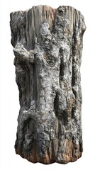 Rough Tree Stump: Nature's Resilience and Texture