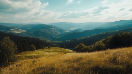 Obraz premium Mountain landscape with valley and forest. Scenic view of nature, tranquility, and beauty.