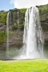 Obraz premium Seljalandsfoss in Iceland