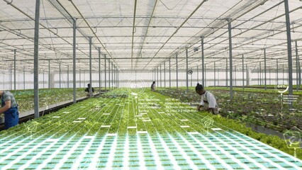 VFX added effects over busy group of farmers in modern bio agricultural greenhouse used for growing eco vegetables. Regenerative agriculture using pesticide free soil fertilizer, AR visualization