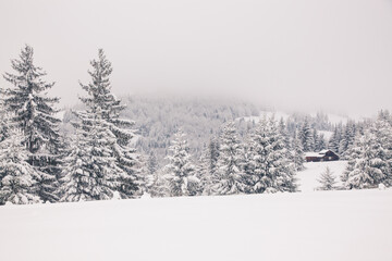 winter in the mountains - small Romanian village in the Carpathians covered with snow