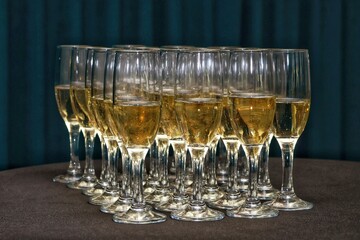 Glasses filled with champagne lined up in rows on the table.