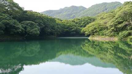 Fototapeta premium Tranquil Green Lake Surrounded by Lush Mountains