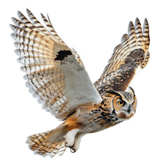 PNG Owl soaring on white backdrop