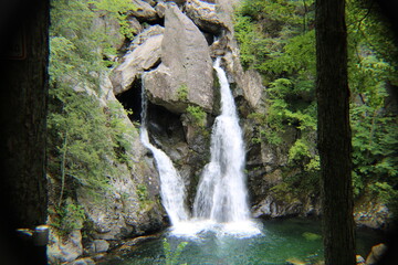 Fototapeta premium waterfall in the forest