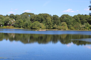 lake and forest