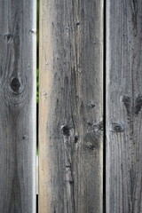 Naklejka premium beautiful background and texture and tree