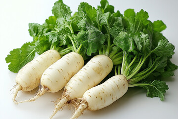 Fresh White Radishes with Lush Green Tops