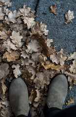 fallen autumn leaves on ground
