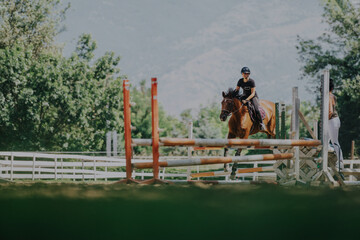 A skilled equestrian rider gracefully jumps over hurdles in a picturesque outdoor arena surrounded...