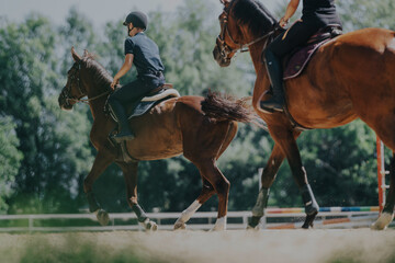 Two equestrian riders enjoying a brisk horseback ride in a sunny, open paddock, showcasing skill...