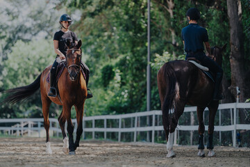 Two skilled equestrians ride their horses in an outdoor arena surrounded by lush greenery, showcasing focus and harmony. Perfect image for themes of sport, leisure, and connection with nature.