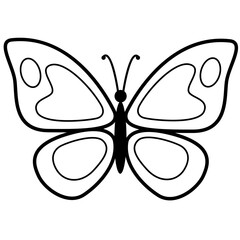 butterfly illustration