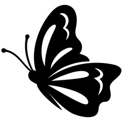 illustration of a butterfly