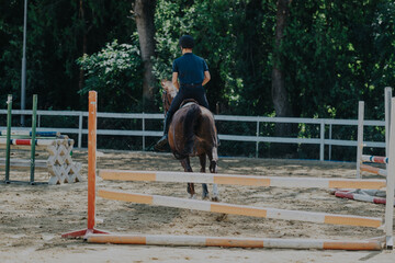 A skilled equestrian rider navigates through an outdoor arena with horse jumps, showcasing focus...