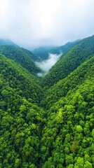 Obraz premium landscape mountain