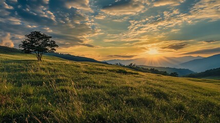 Obraz premium Sunset Landscape with Single Tree