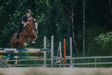 A skilled equestrian participates in a thrilling show jumping competition, showcasing precision and...