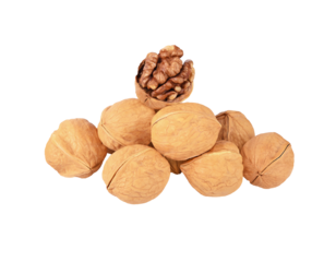 walnut half isolated on transparent png