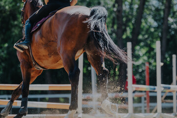 A spirited horse, ridden by a focused equestrian, leaps in a sunlit outdoor arena. The dynamic movement captures the thrill of equestrian sports amidst lush surroundings.