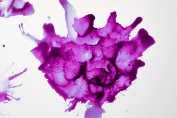 Color splash background. Abstract paint. Creative art background. Abstract background. Colored acrylic paint. Swirling ink. Color paint background.