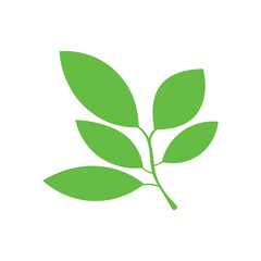 Illustration green leaf fresh nature unique design with blank background