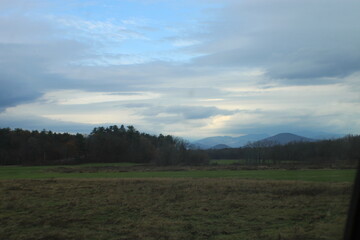 Fototapeta premium morning in the forest