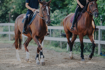 Two equestrians riding brown horses in an outdoor arena, showcasing skills and collaboration. The image captures the elegance and discipline of horseback riding in a natural setting.