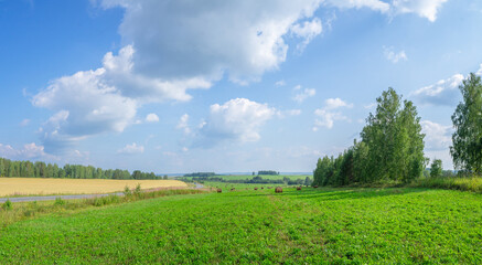 Beautiful panorama of a mown field against a blue sky with clouds.