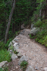 Naklejka premium Hiking Trail