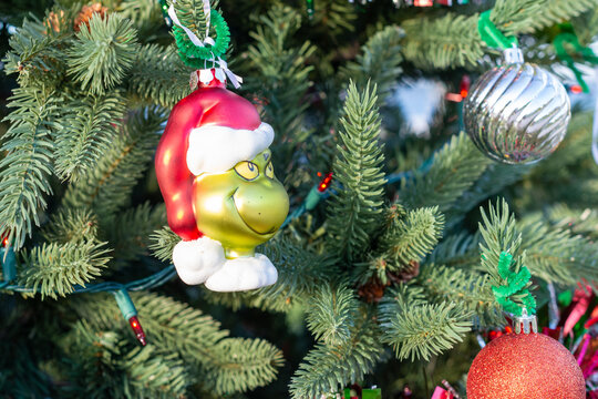 Orlando, Florida, US-November 1, 2024: Dr. Seuss' Christmas Grinch hanging from a real fir tree with string of mini lights. The ornament is green with red and white. The cartoon is wearing a Santa hat