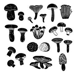 Set of edible mushrooms in black and white woodcut style. Hand-drawn vector illustrations.