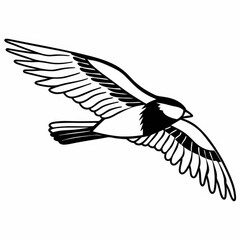 Naklejka premium eagle vector illustration