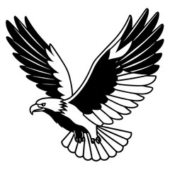 Fototapeta premium eagle vector illustration