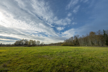 A large field of grass with a clear blue sky above