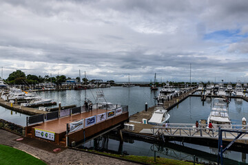 Fototapeta premium Quepos Marina Pez Vela