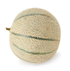 One whole Cantaloupe melon isolated on white