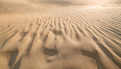 Smooth Background of Beige Beach Sand with Natural Texture