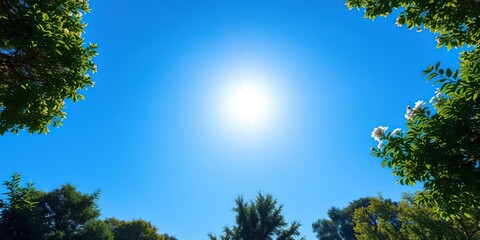 Obraz premium A serene summer day under a brilliant blue sky with a shining sun, outdoor scene, scenic view, gentle breeze