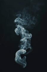 Fototapeta premium A plume of white smoke rising against a dark background, creating an abstract and ephemeral shape.