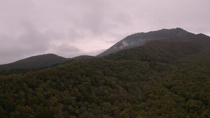 日本の美しい紅葉（木谷沢渓流）ドローン空撮