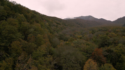 日本の美しい紅葉（木谷沢渓流）ドローン空撮