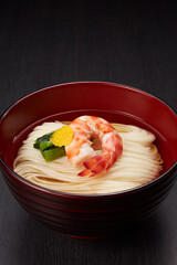 ひやむぎ_冷_温_hiyamugi