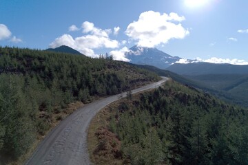 A scenic winding road cutting through dense forest leads towards Mount Rainier under a bright, clear blue sky.