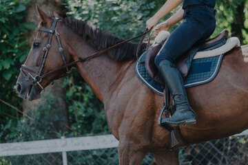 A rider in equestrian gear sits atop a brown horse, set against a lush green backdrop. The image captures the bond between horse and rider, highlighting equestrian sports and outdoor activities.